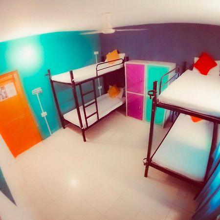 The Hostel Crawl ウダイプル エクステリア 写真