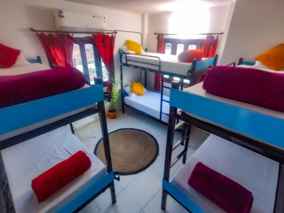 The Hostel Crawl ウダイプル エクステリア 写真